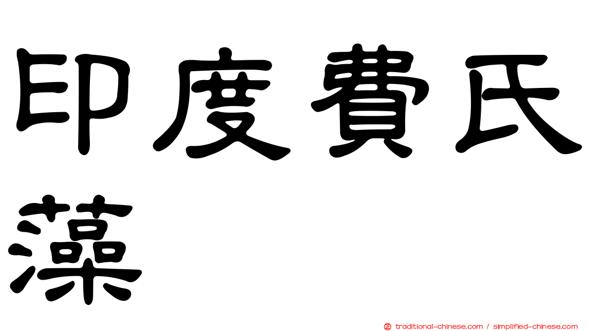 印度費氏藻