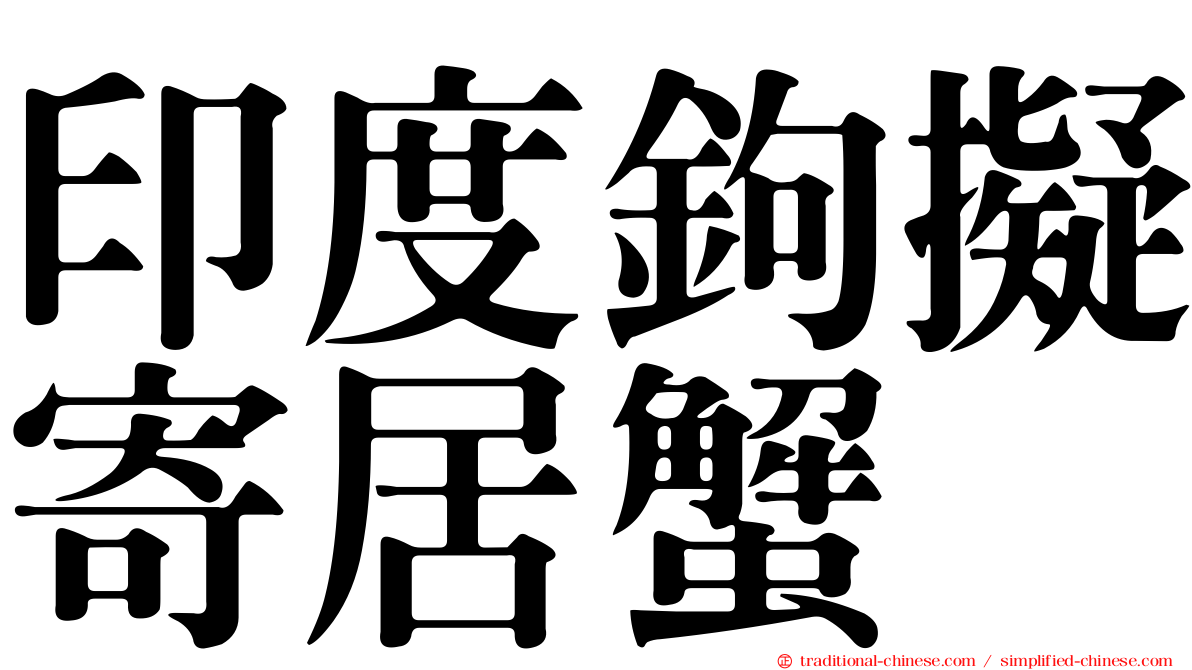 印度鉤擬寄居蟹