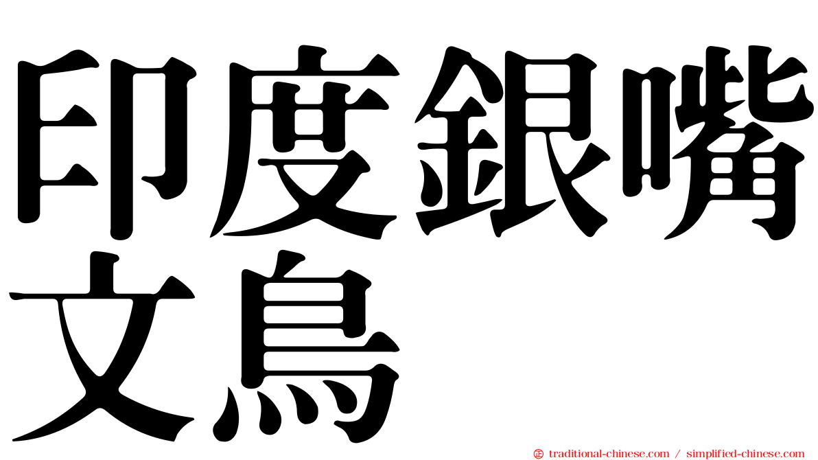 印度銀嘴文鳥