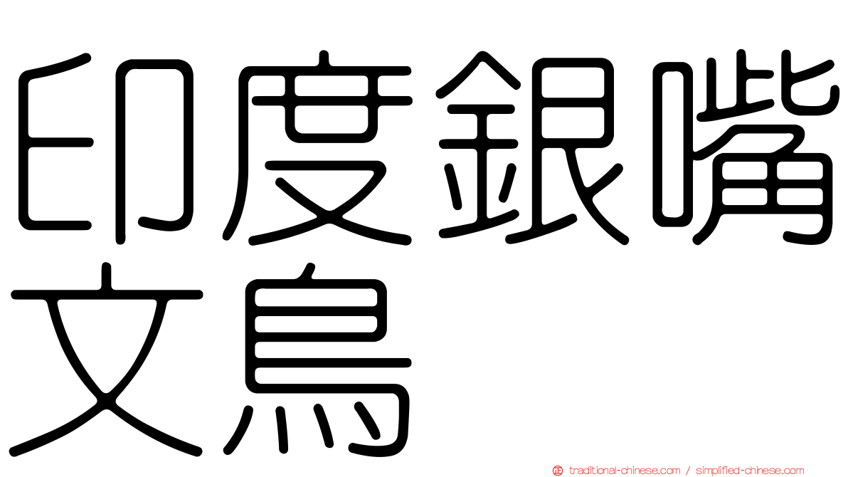 印度銀嘴文鳥