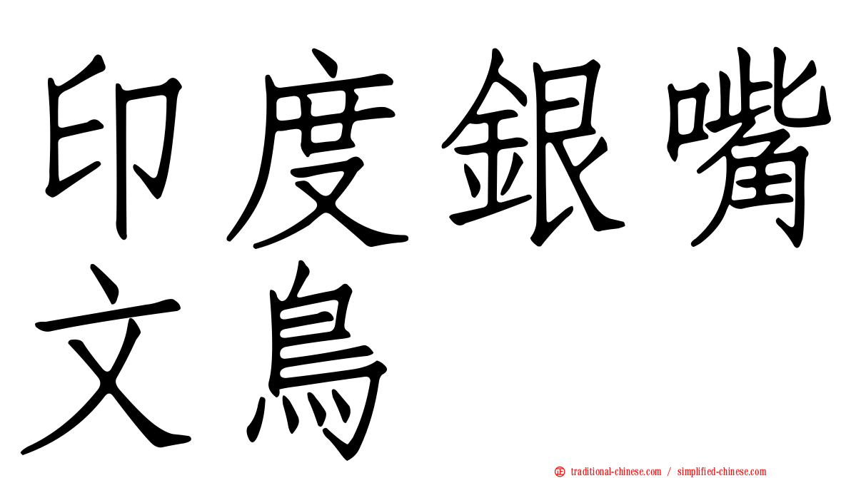 印度銀嘴文鳥