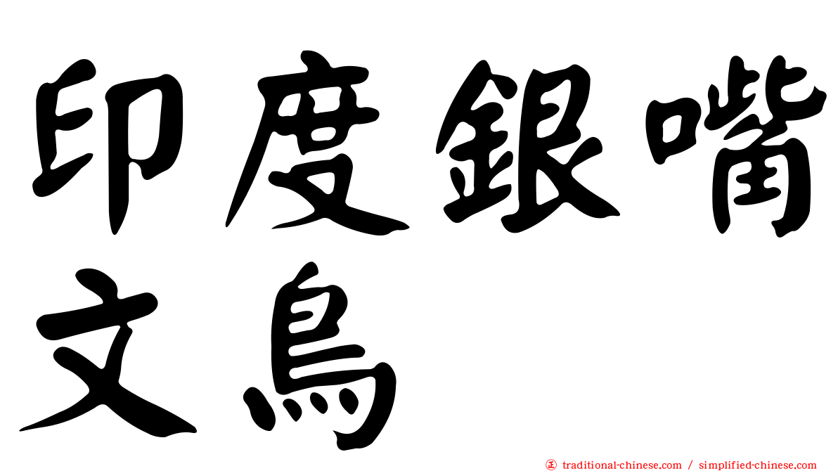 印度銀嘴文鳥