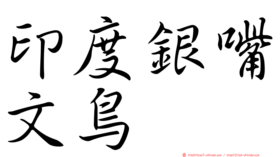 印度銀嘴文鳥