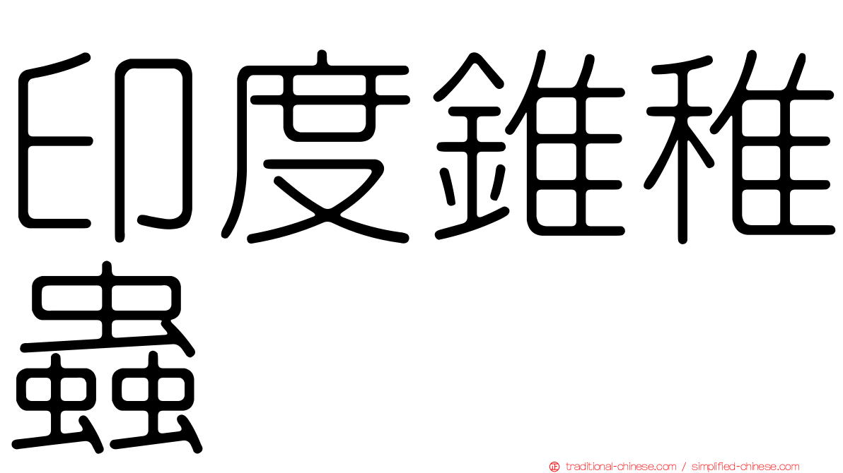 印度錐稚蟲