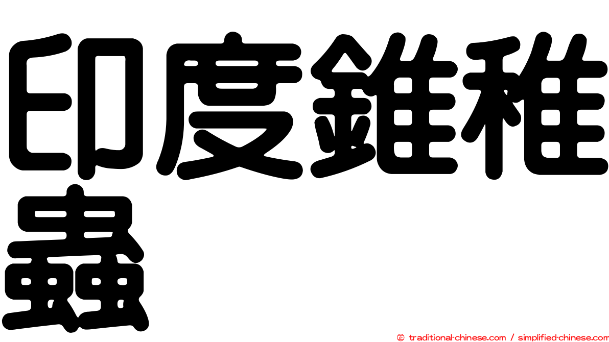 印度錐稚蟲