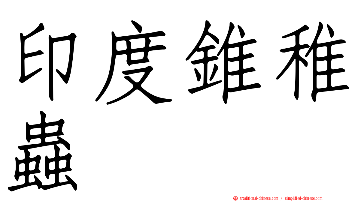 印度錐稚蟲