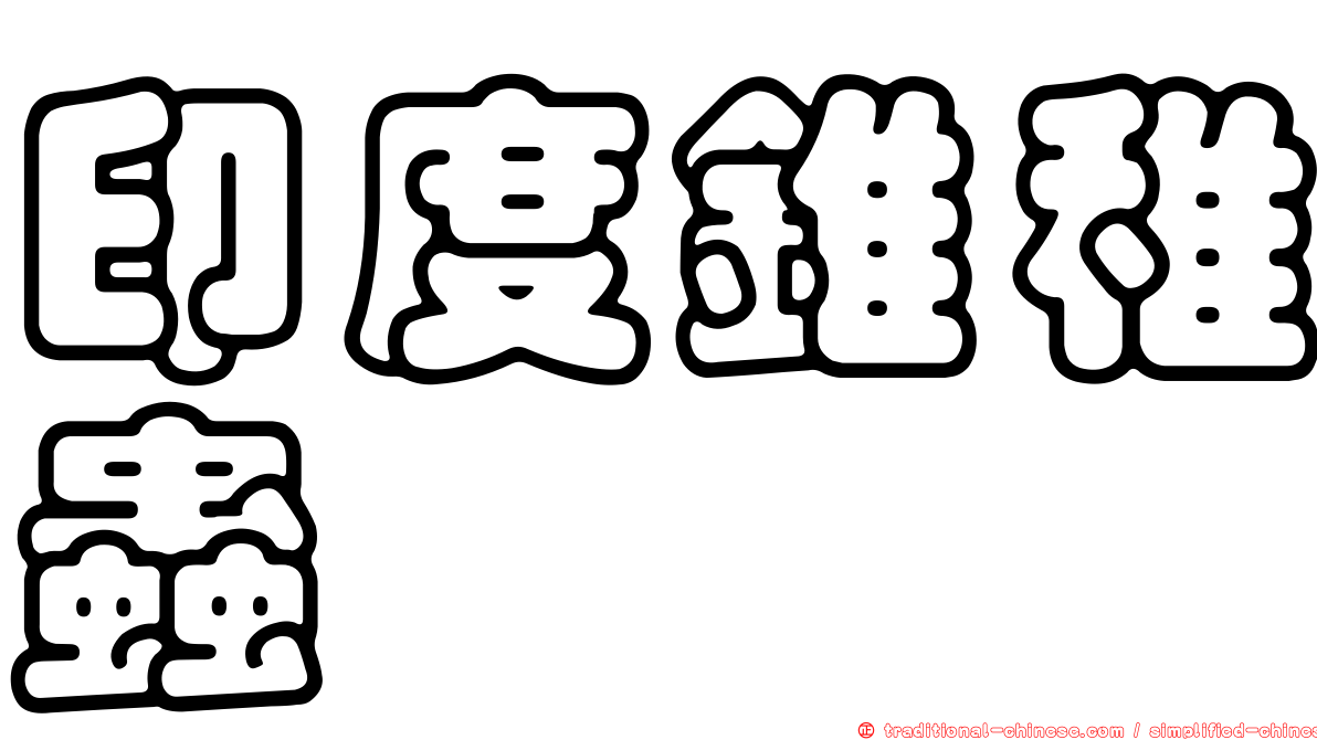印度錐稚蟲