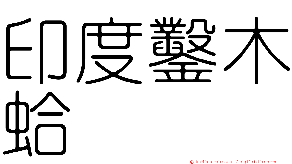 印度鑿木蛤