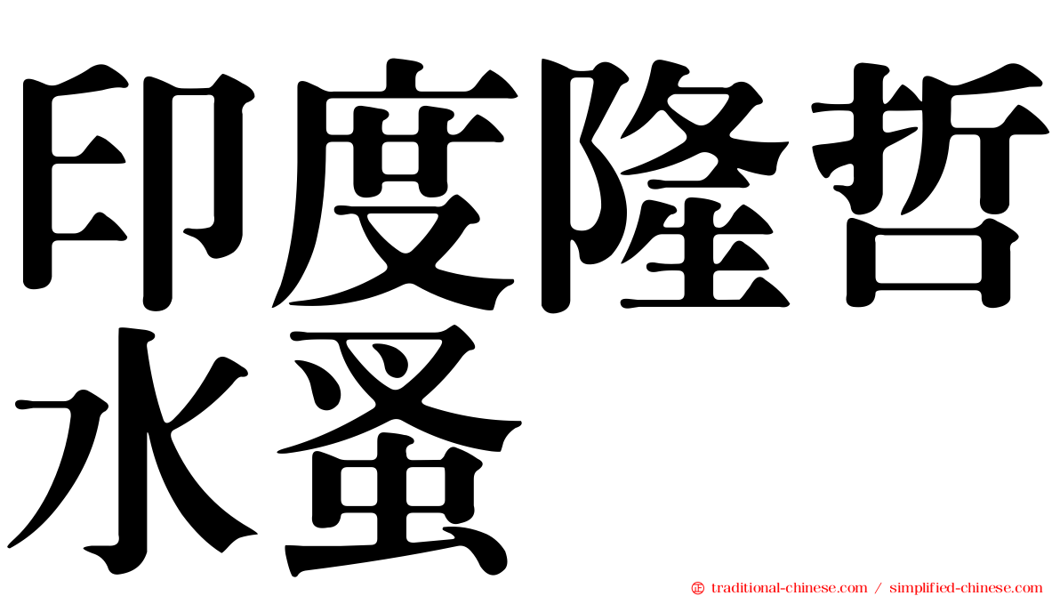 印度隆哲水蚤