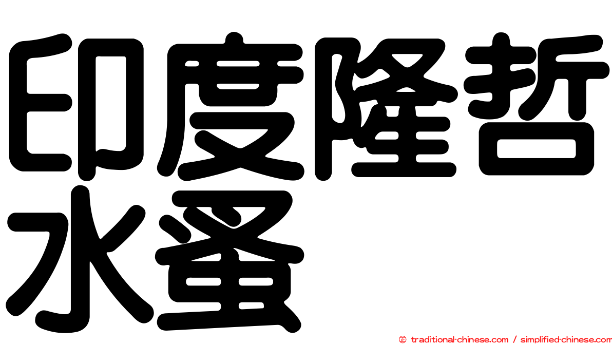 印度隆哲水蚤