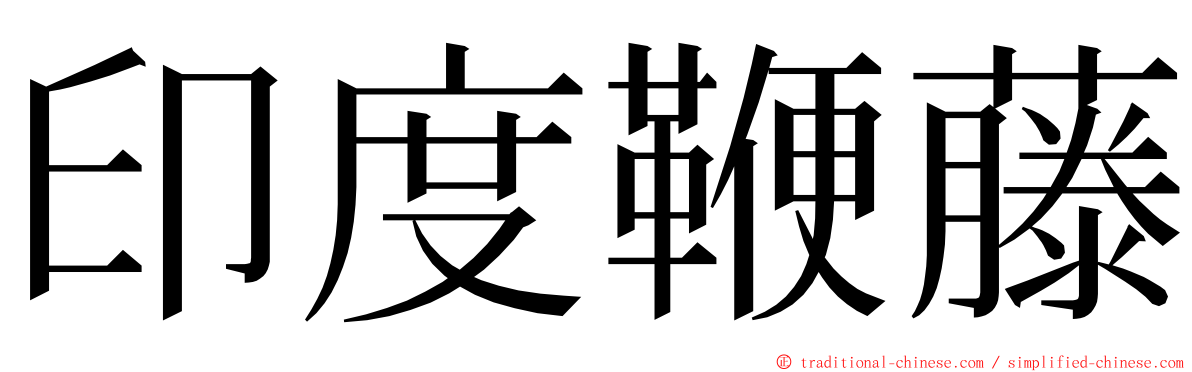 印度鞭藤 ming font