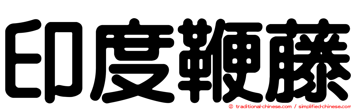 印度鞭藤
