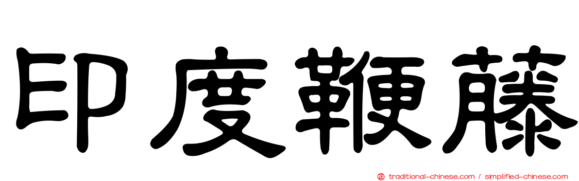 印度鞭藤