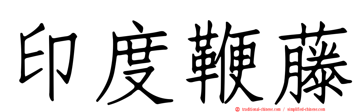印度鞭藤