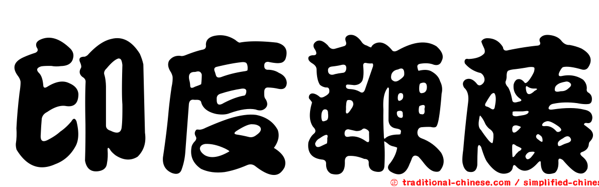 印度鞭藤