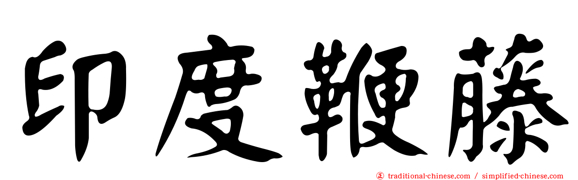 印度鞭藤