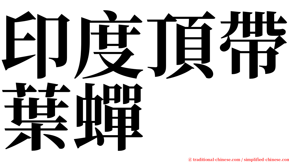 印度頂帶葉蟬 serif font