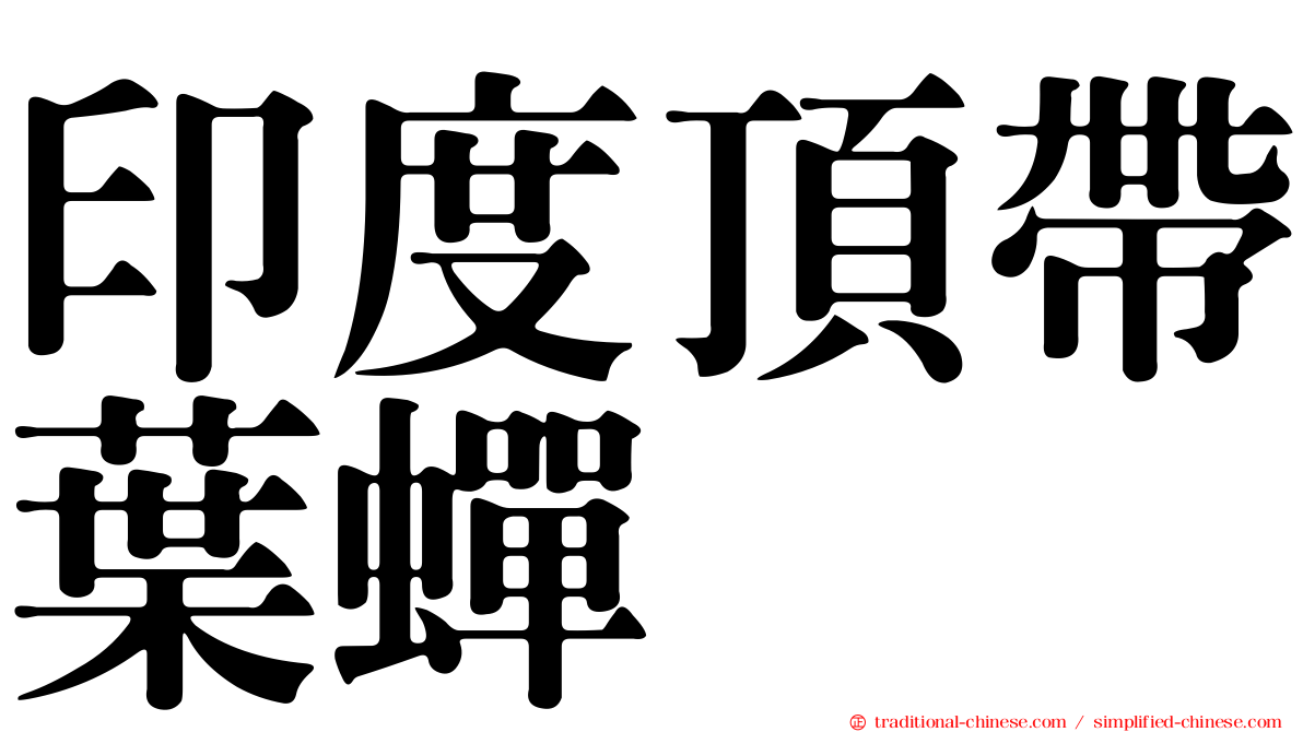 印度頂帶葉蟬