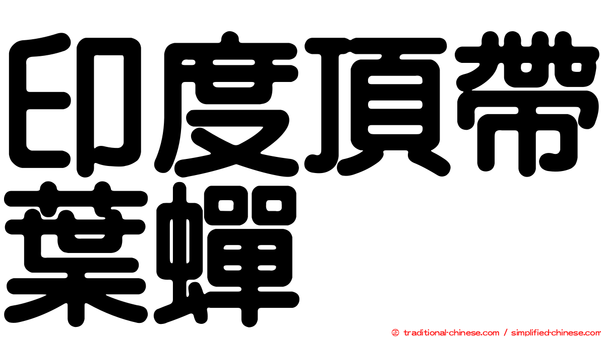 印度頂帶葉蟬