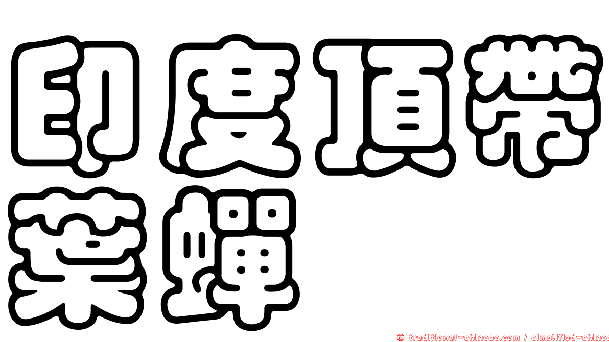 印度頂帶葉蟬