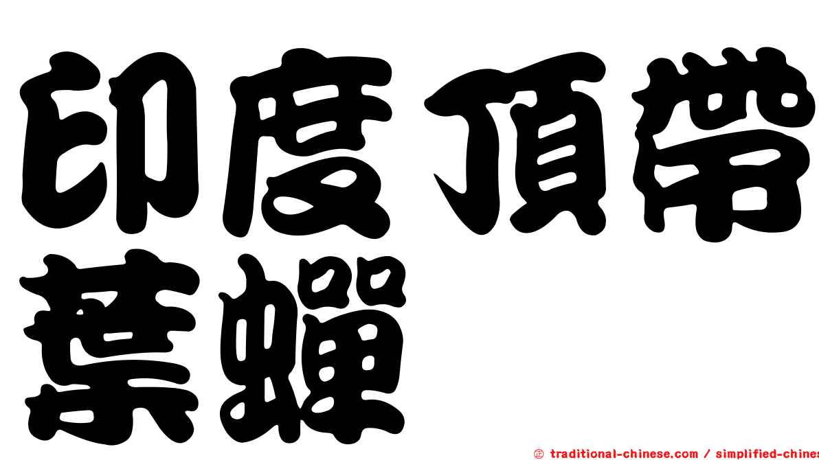印度頂帶葉蟬