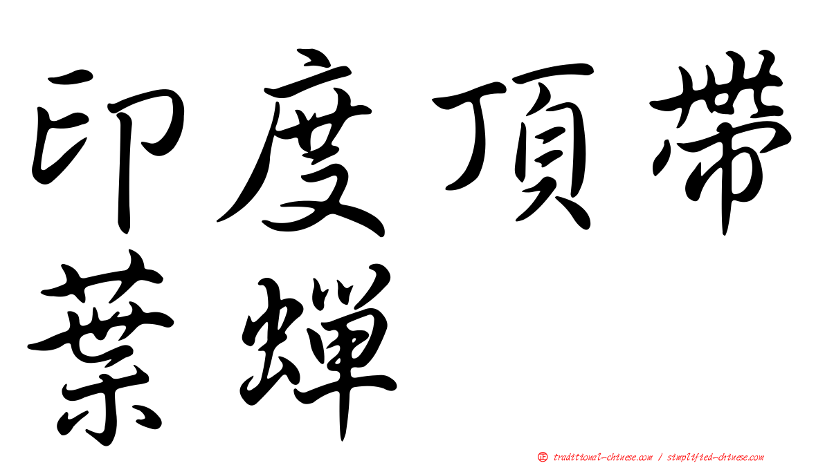 印度頂帶葉蟬