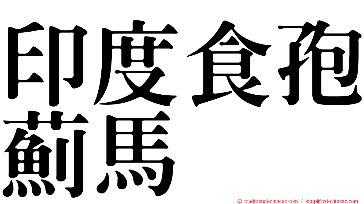 印度食孢薊馬