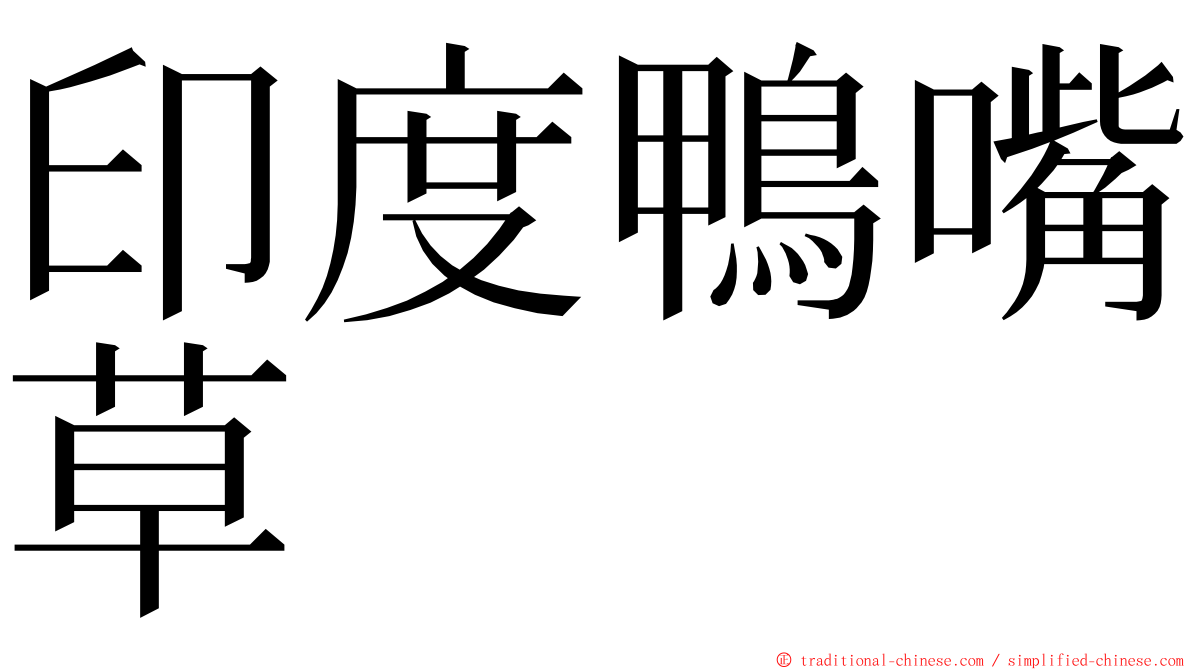 印度鴨嘴草 ming font