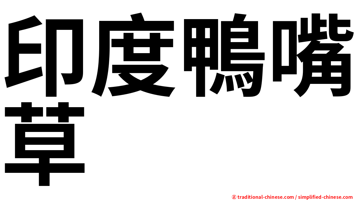 印度鴨嘴草
