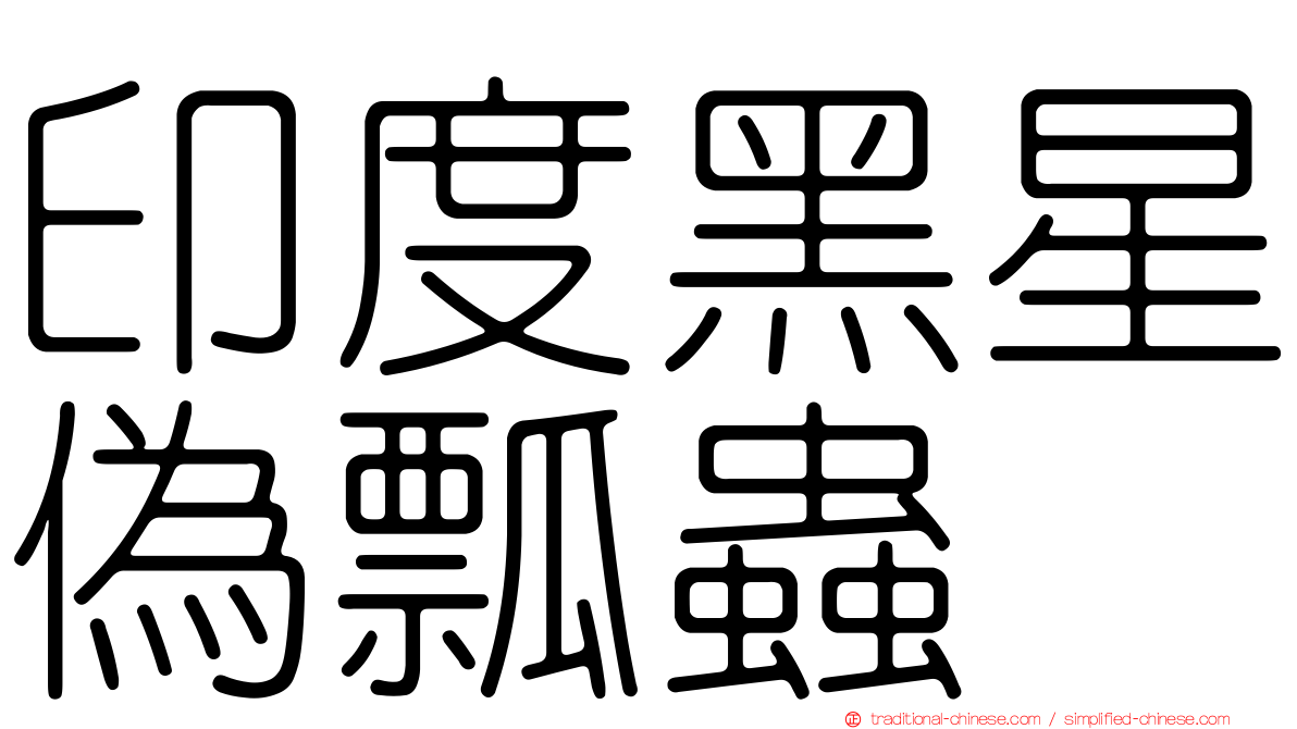 印度黑星偽瓢蟲