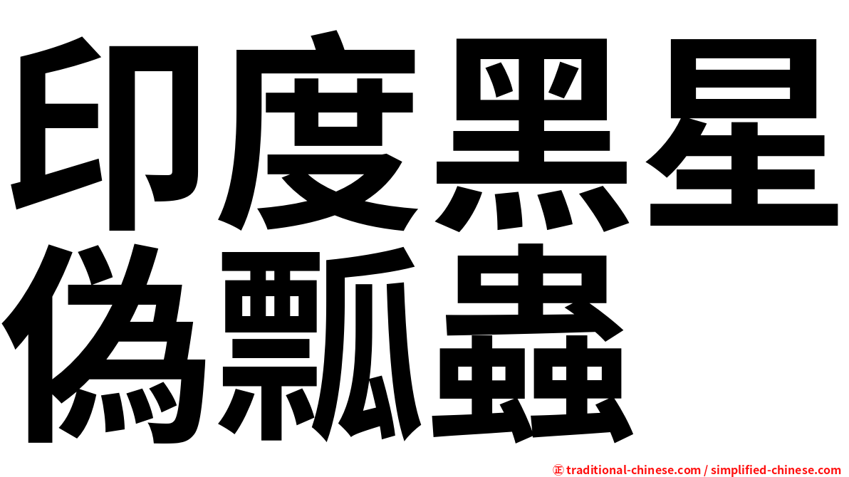 印度黑星偽瓢蟲