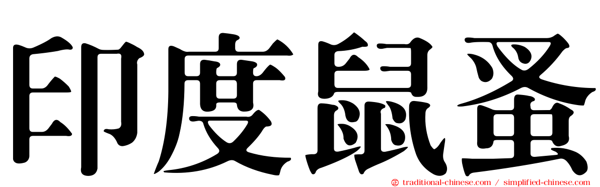 印度鼠蚤