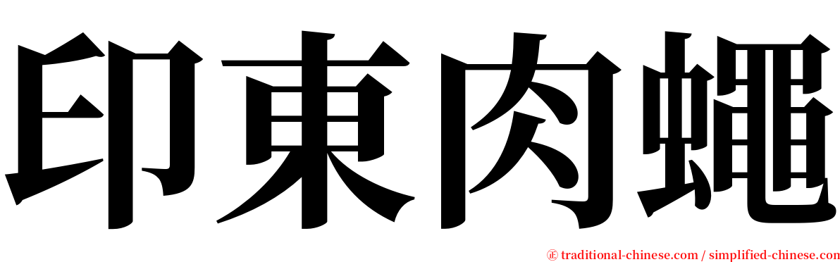 印東肉蠅 serif font