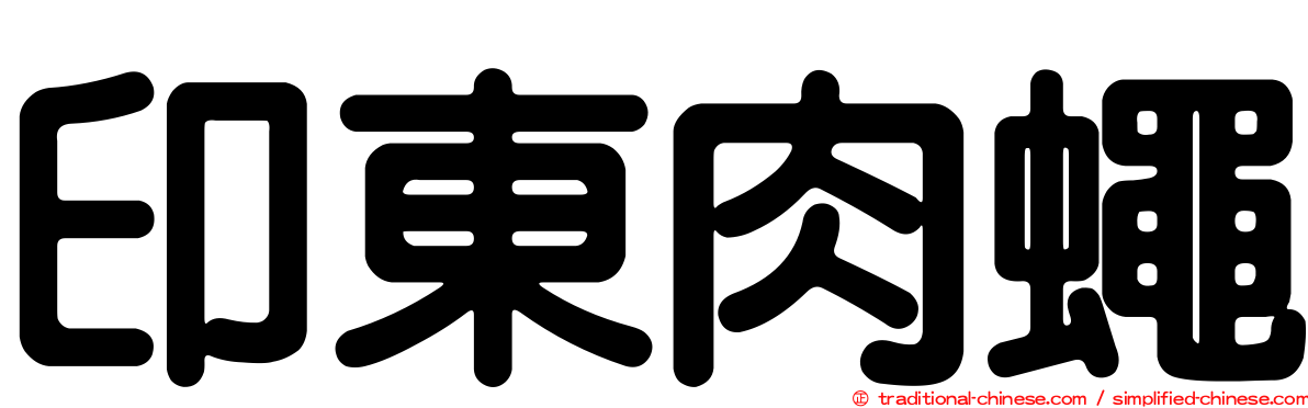 印東肉蠅