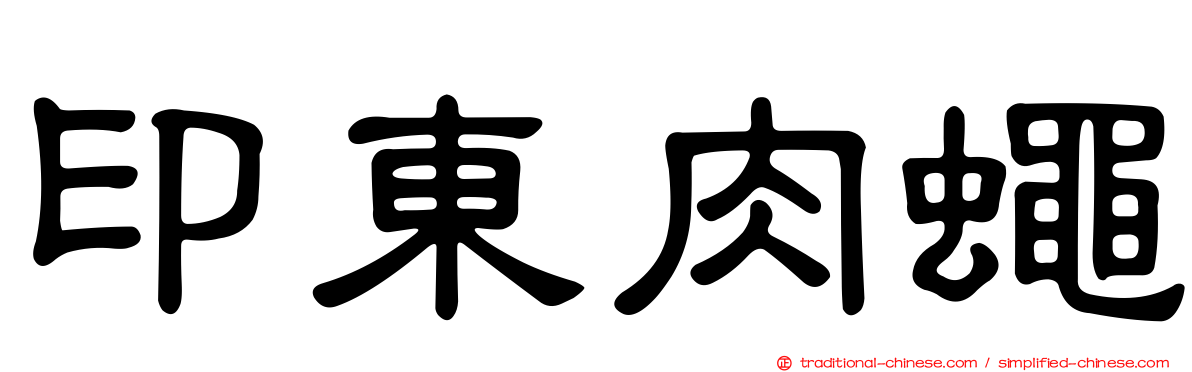 印東肉蠅