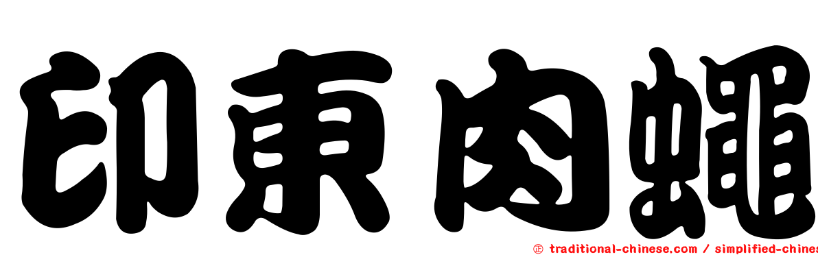 印東肉蠅