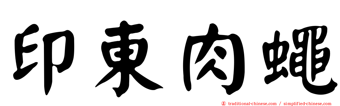 印東肉蠅