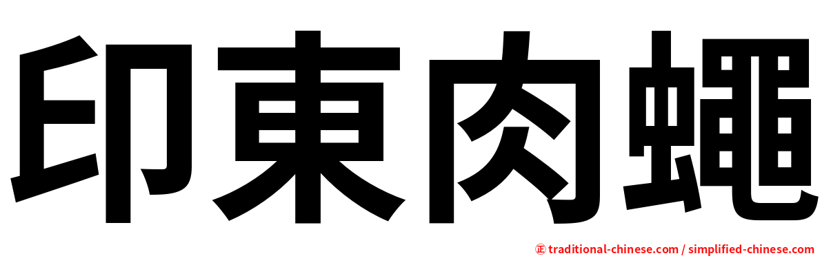 印東肉蠅