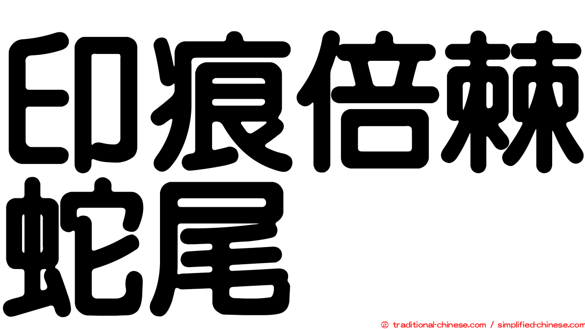 印痕倍棘蛇尾