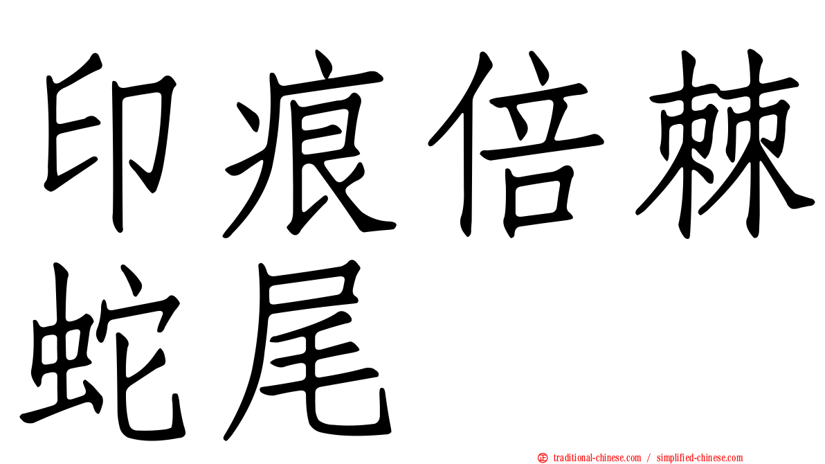 印痕倍棘蛇尾