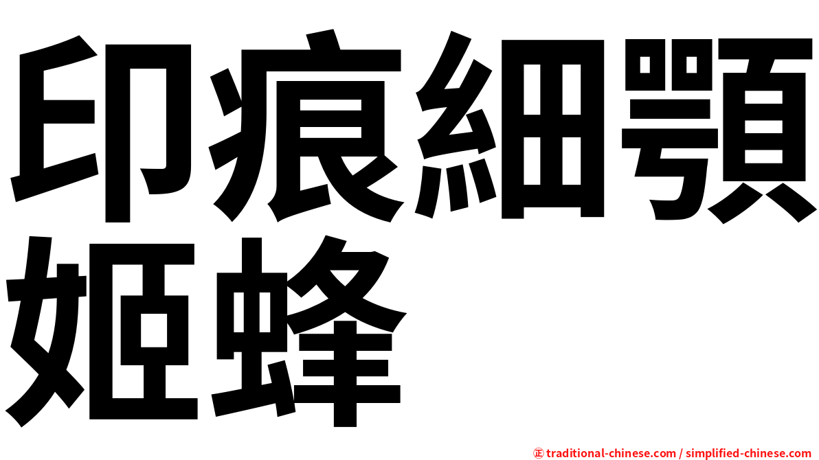 印痕細顎姬蜂