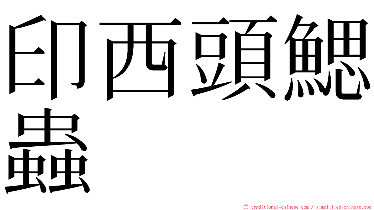 印西頭鰓蟲 ming font