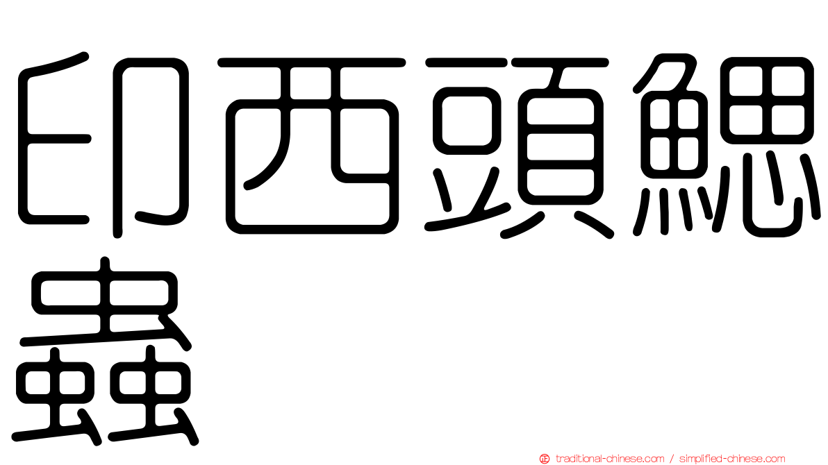 印西頭鰓蟲