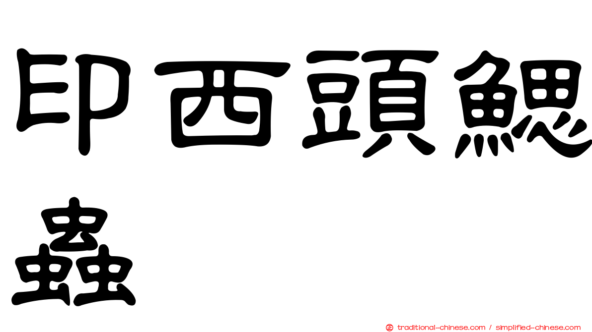 印西頭鰓蟲