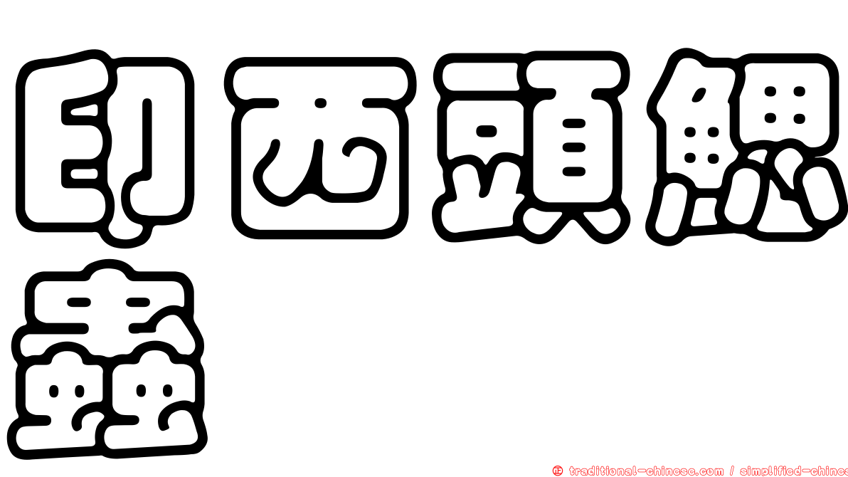 印西頭鰓蟲