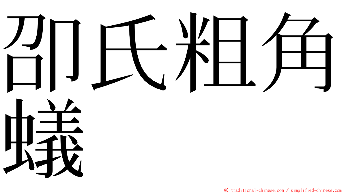 卲氏粗角蟻 ming font