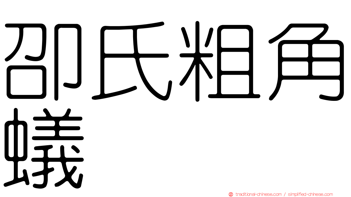 卲氏粗角蟻