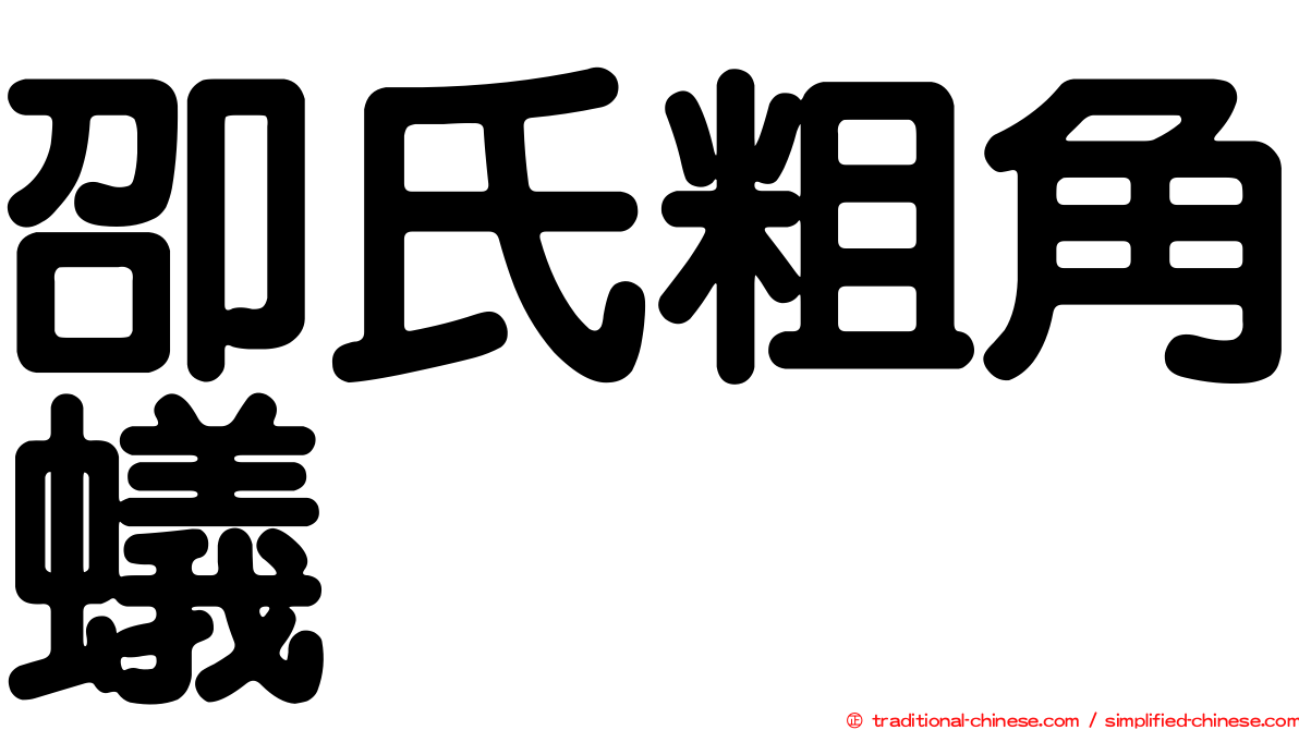 卲氏粗角蟻