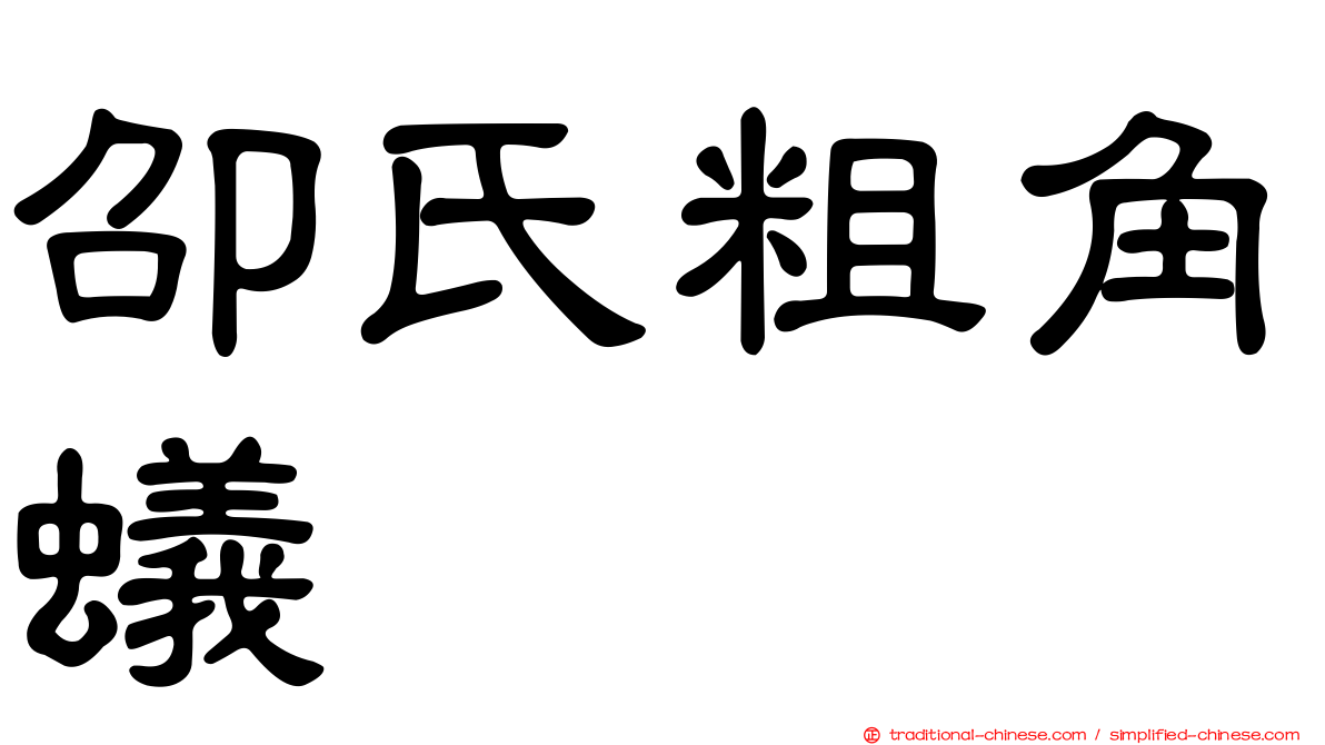 卲氏粗角蟻