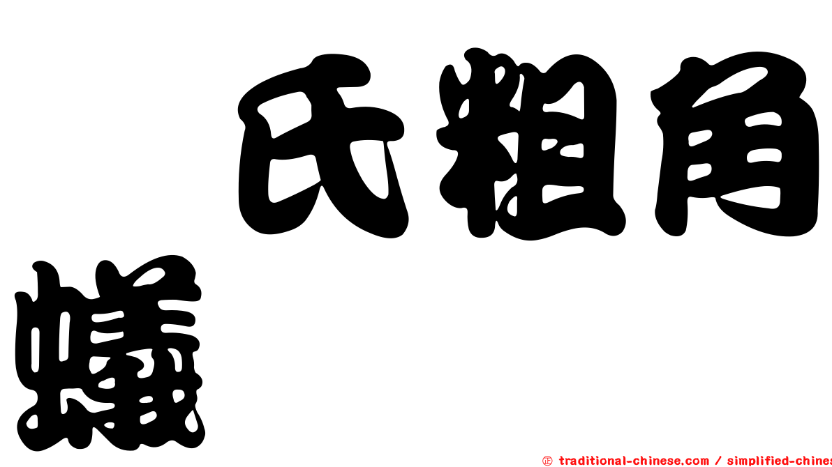 卲氏粗角蟻